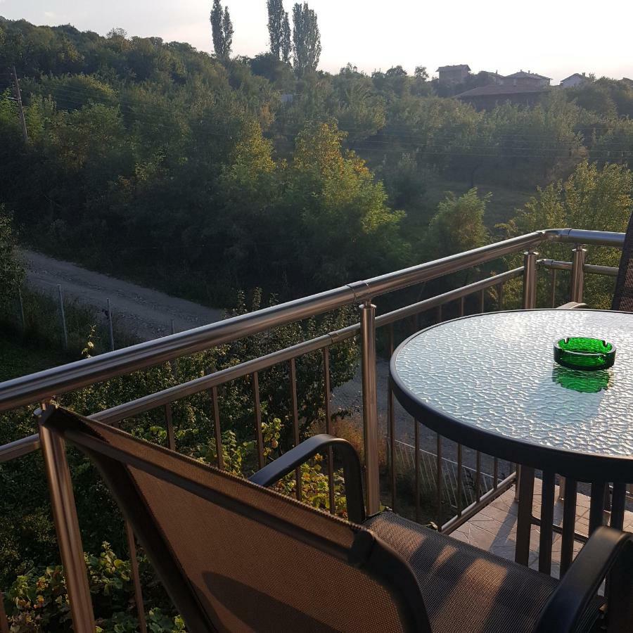 Guest House Ileana Szapareva Banja Kültér fotó