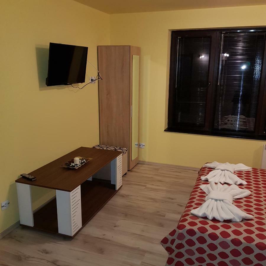 Guest House Ileana Szapareva Banja Kültér fotó