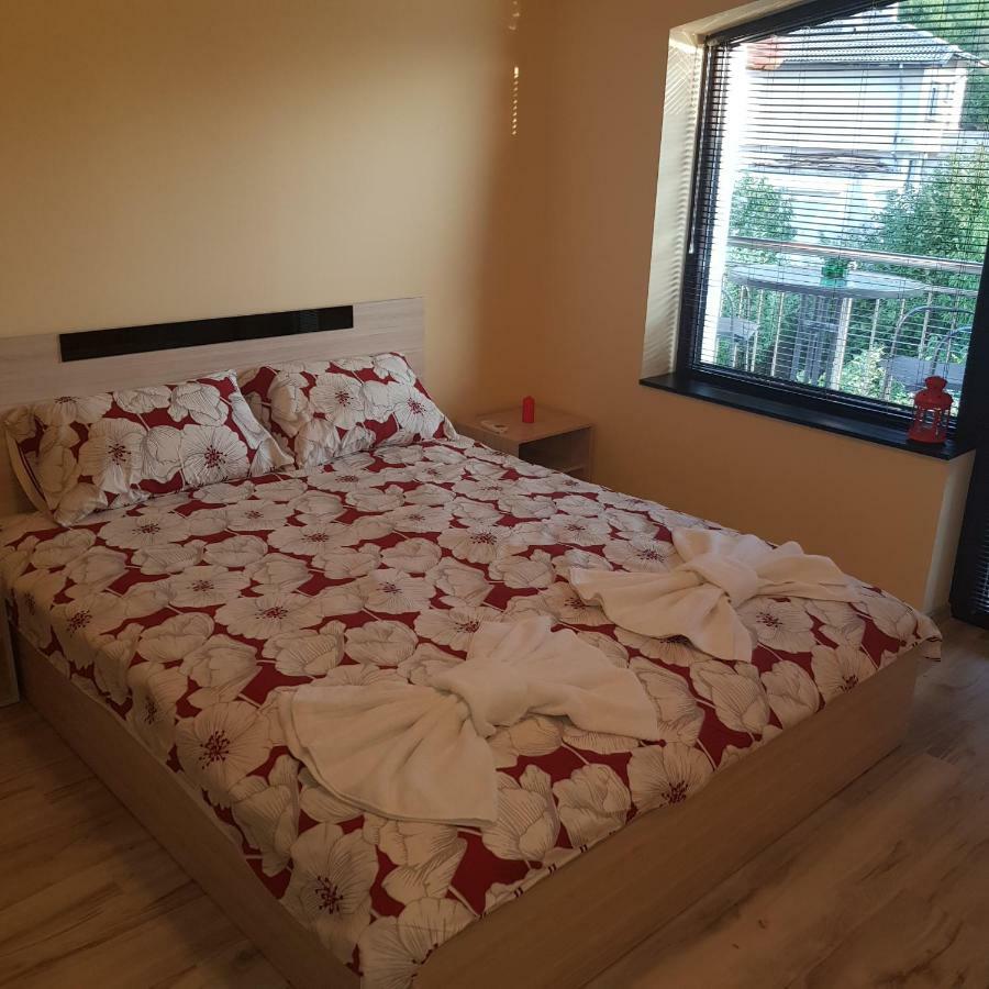Guest House Ileana Szapareva Banja Kültér fotó